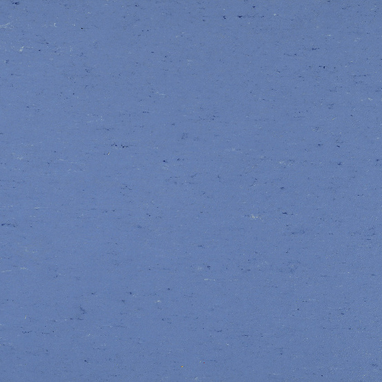 0004 Bluebird