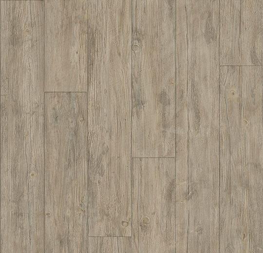 010039 European white wood