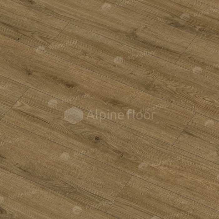 Дуб Котор 62755