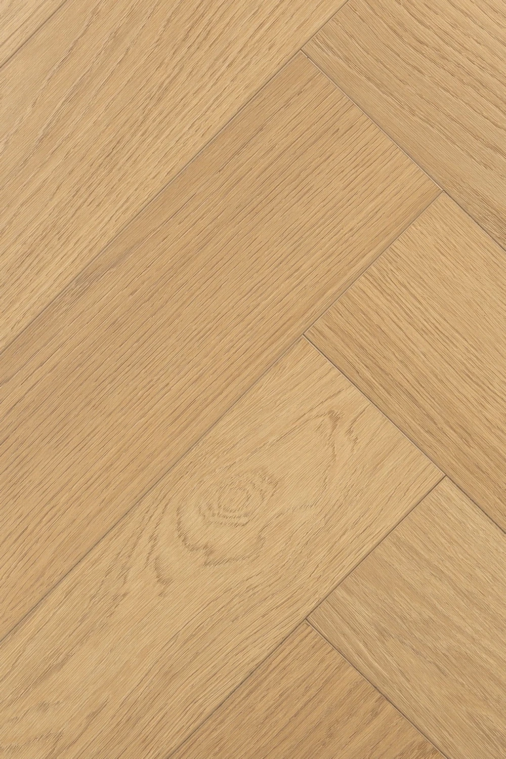 Дуб Умбра | Umbra oak 1F440