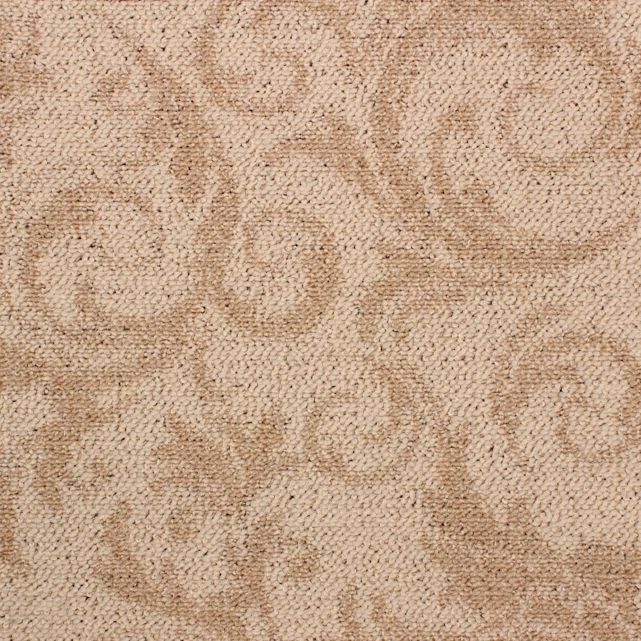 Beige 648295