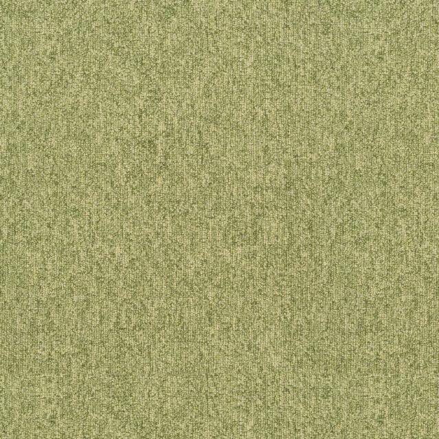 55482