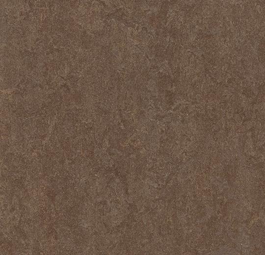 387435 walnut
