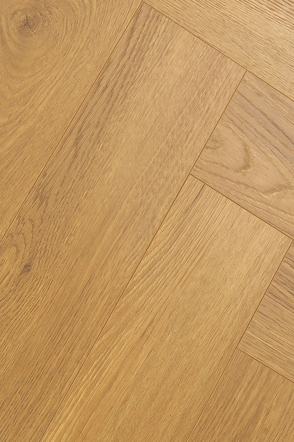 Дуб Апертус | Apertus oak 1F344