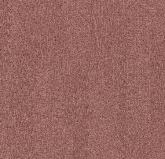 s482016 Penang coral