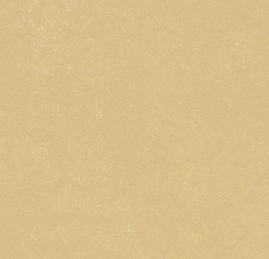 372635 venus