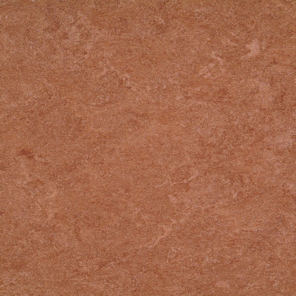 121-003 dark brown