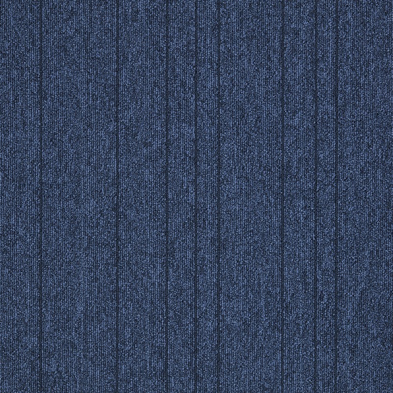 504