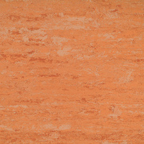 107 Peach Orange