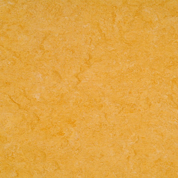 125-072 golden yellow