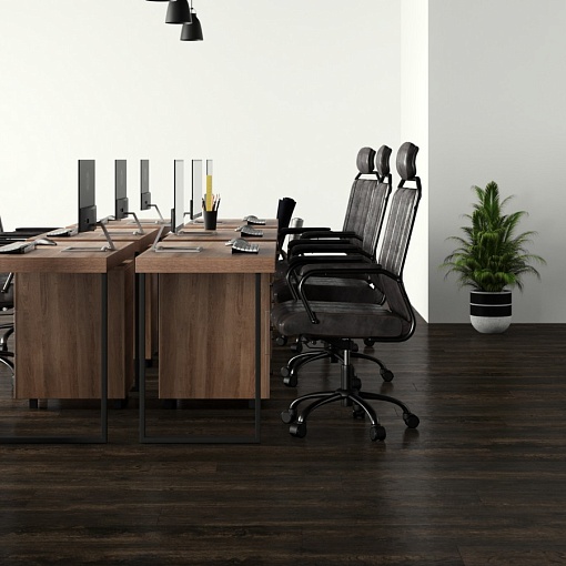 849 Bergen Oak