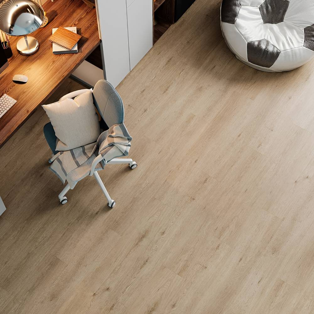 Abbi 1003-1