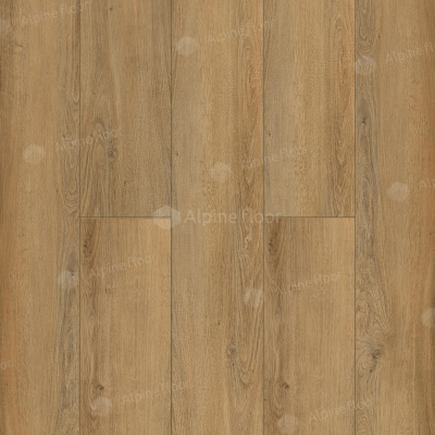 SINGOLO 1004-10