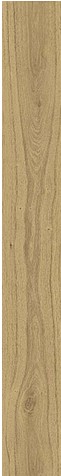 ATLAS CONCORDE RUSSIA RIVE Acqua Riva Ret Матовый 20x160