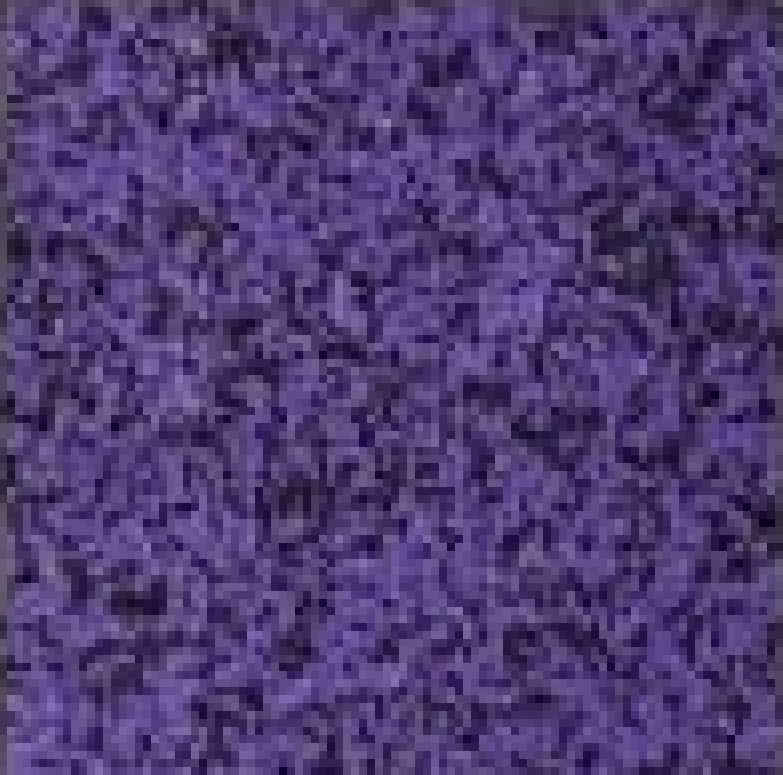 Фиолетовый 90