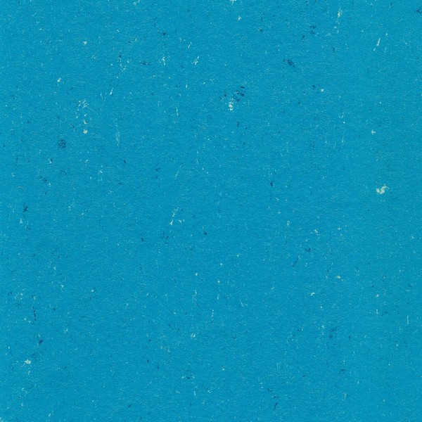 131-123 poppy blue