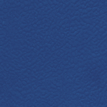 661 Oceano