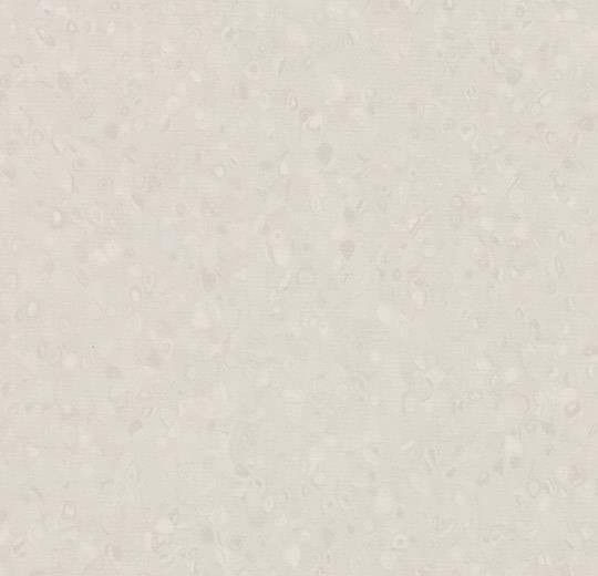 50017 ivory