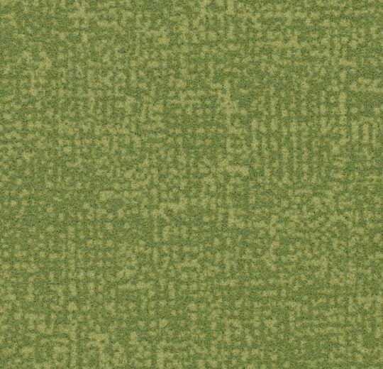 s246019 Metro citrus