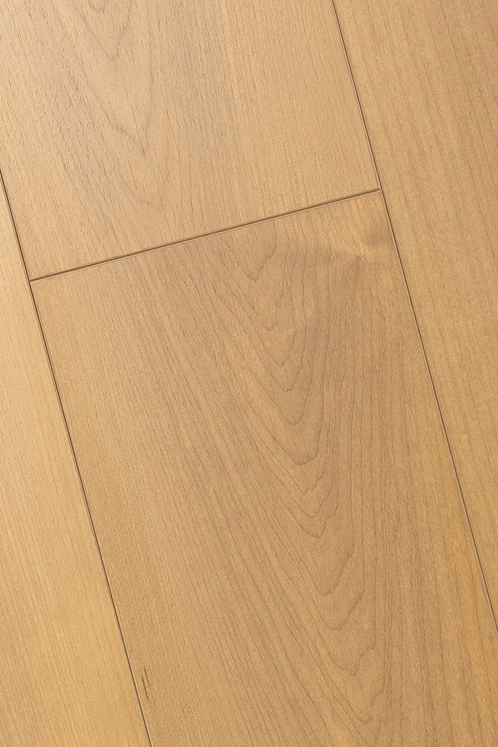 Дуб Ривьера | Rivera oak 1F407