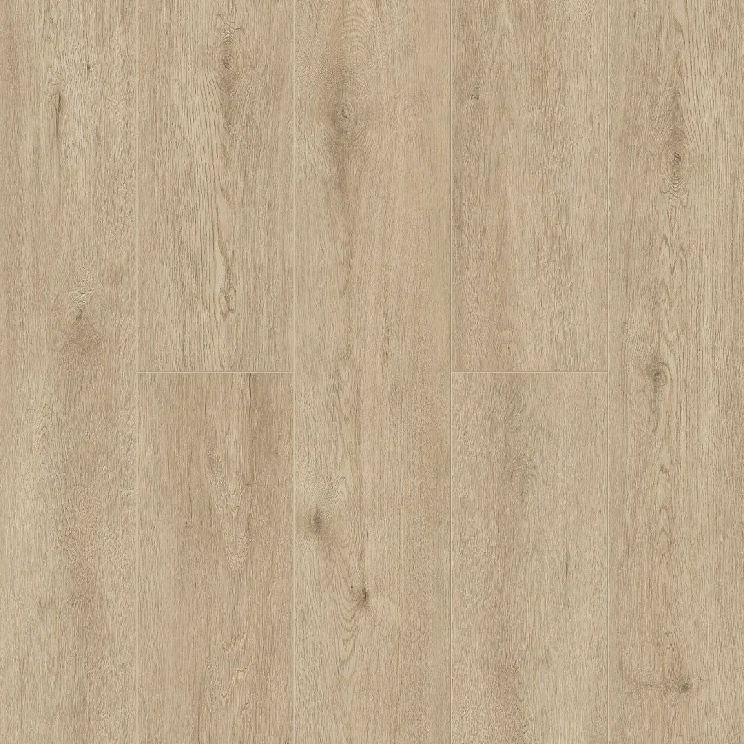 Abbi 1001-1