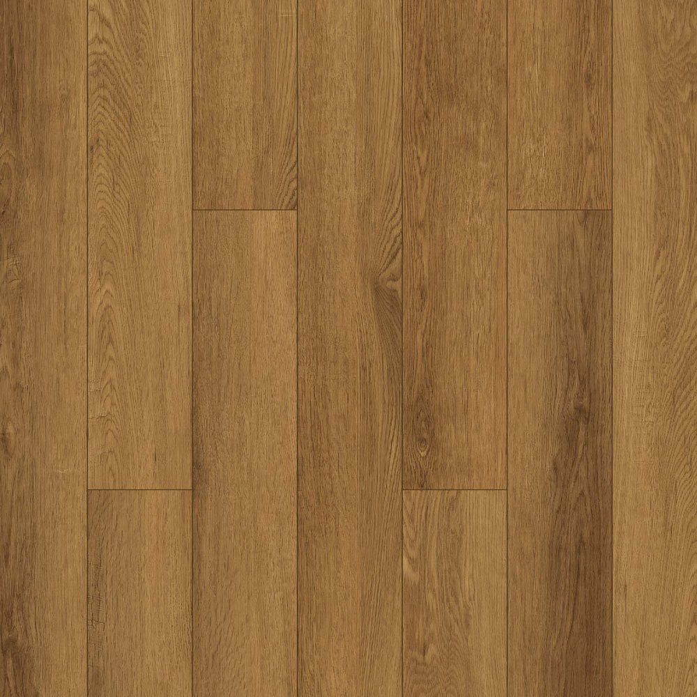 Ekker 3301