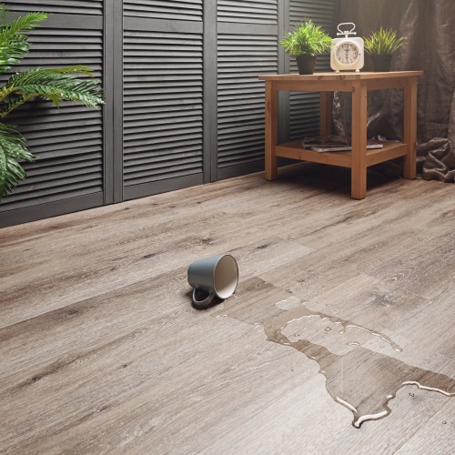 AF6041