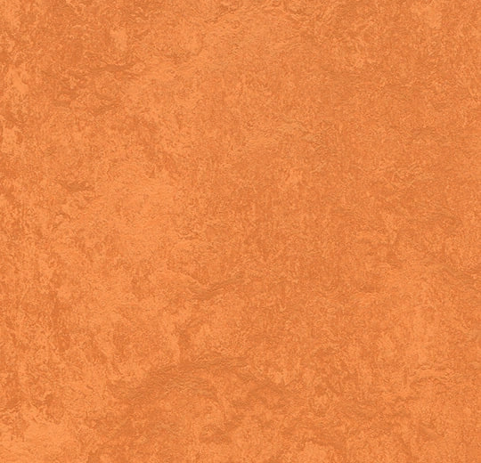 83286 orange
