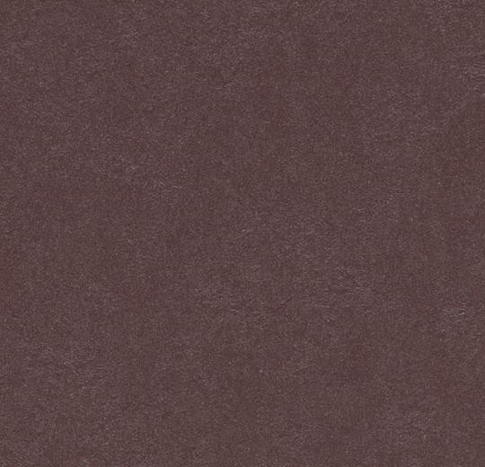 335335 eggplant purple