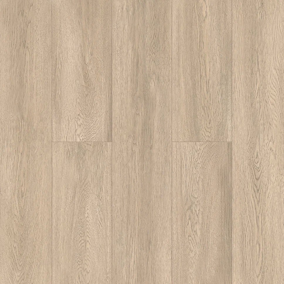 ECO 9 -4 ТУМАННЫЙ ЛЕС