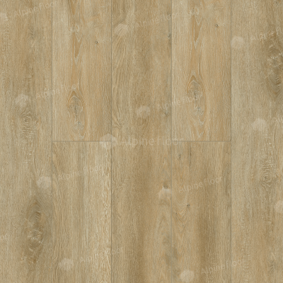 FLORI 1004-16