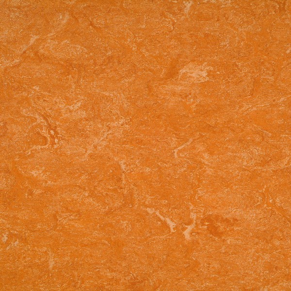2121-073 spicy orange