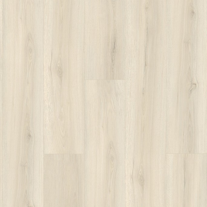 Дуб Сандбар / Sandbar Oak VI01-08