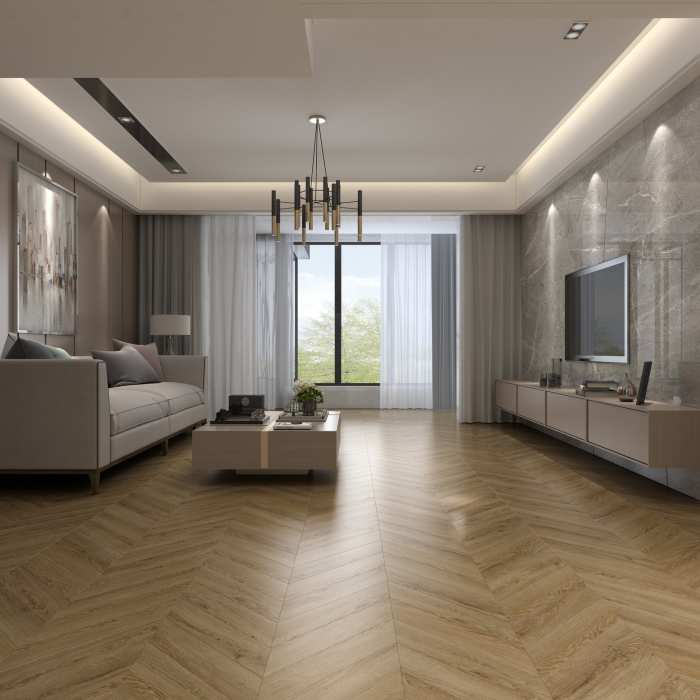 DF04-Ch-LVT Лувр