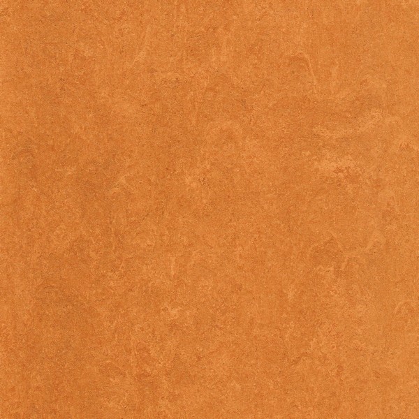 125-174 physalis orange