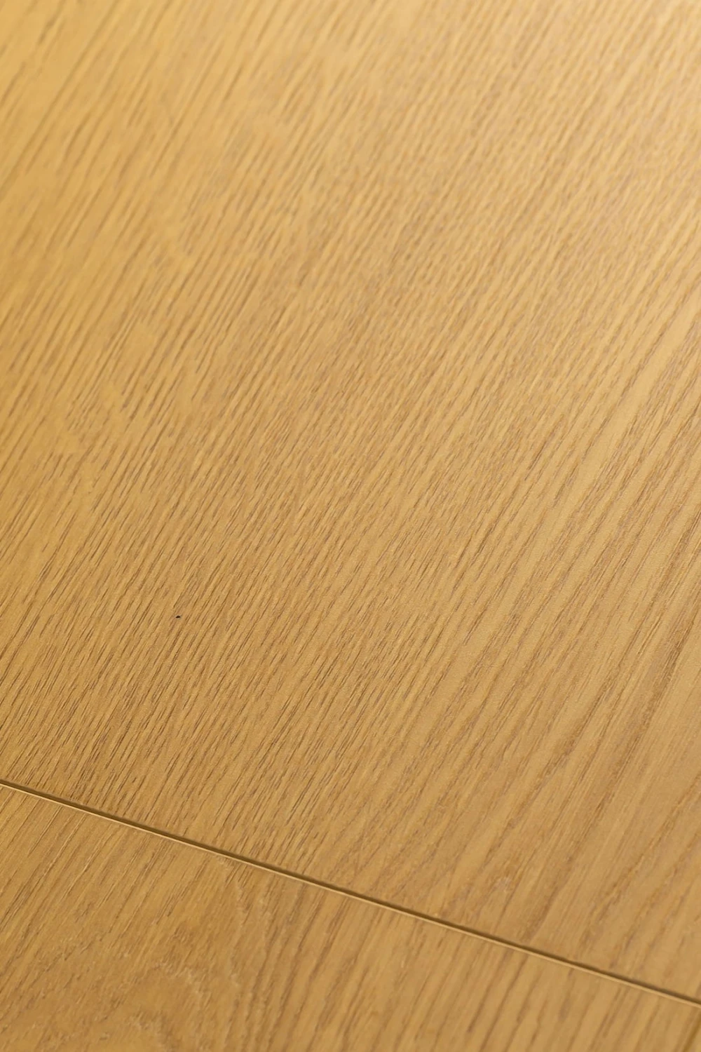 Дуб Элкат | Eclat oak 1F322