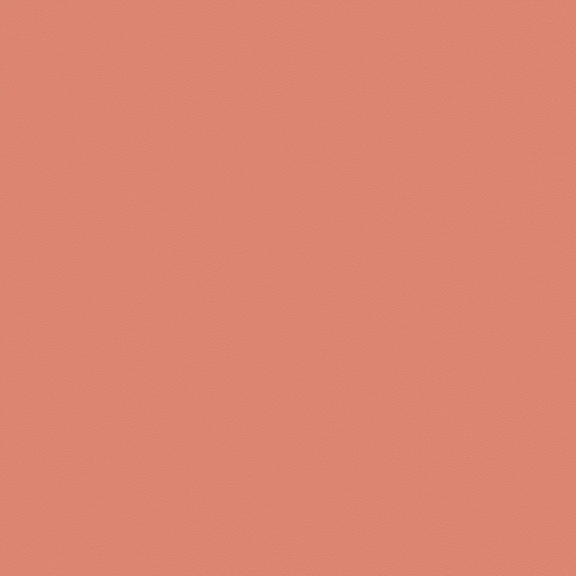 Coral 40
