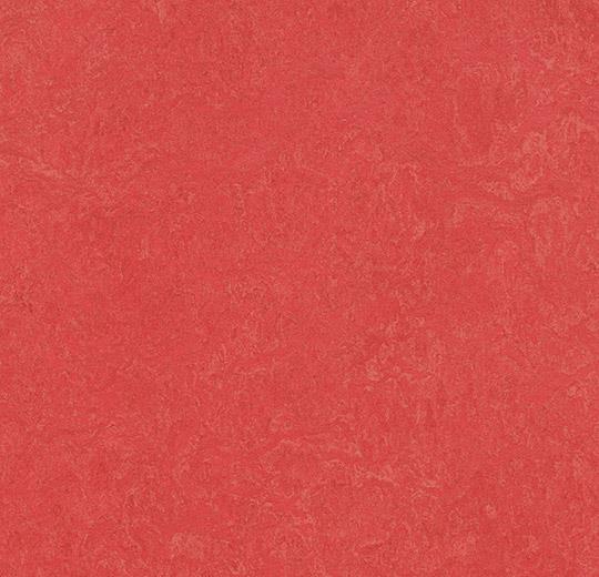 326335 rose