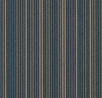 t550001/t553001 Complexity grey