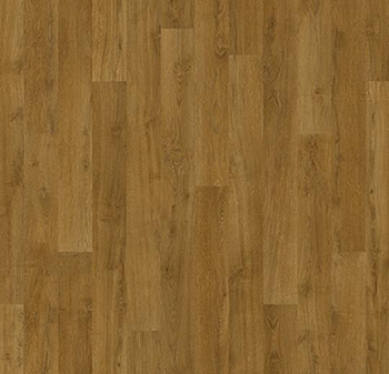 010033 English oak
