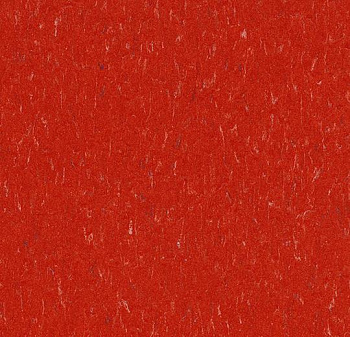 362535 salsa red