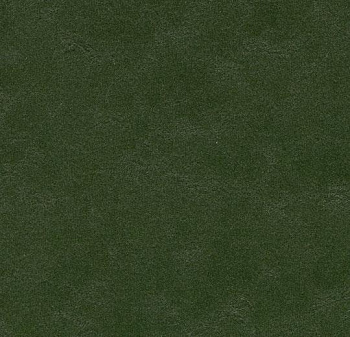 335935 bottle green