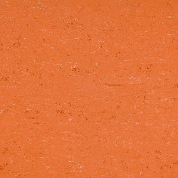 131-016 deep orange