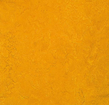 312535 golden sunset