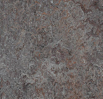 342135 oyster mountain
