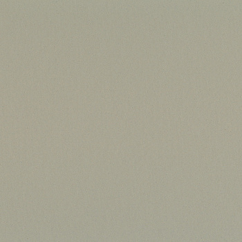 0085 Warm Concrete Grey