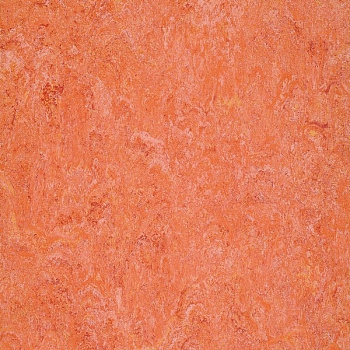 0019 Sunset Orange