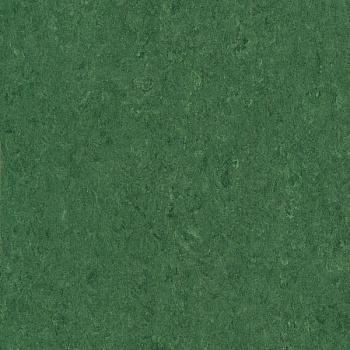 121-041 avocado green