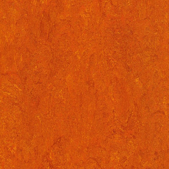125-117 mandarin orange