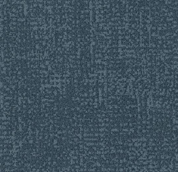 s246002 Metro tempest